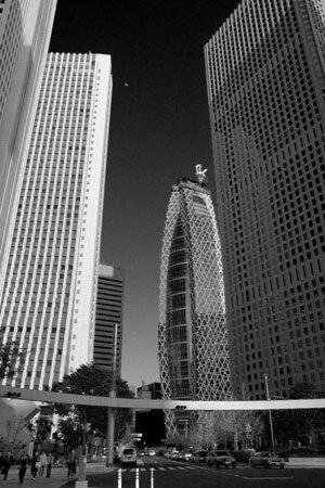 2008041605.jpg
