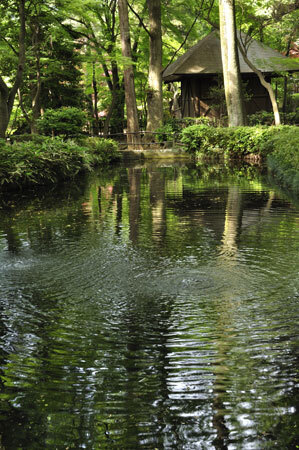2009051804.jpg