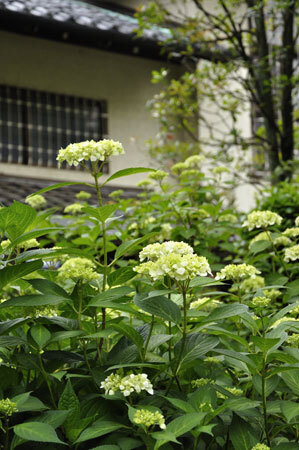 2009052705.jpg