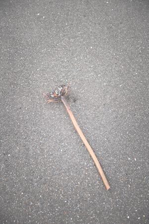 2013092303.jpg